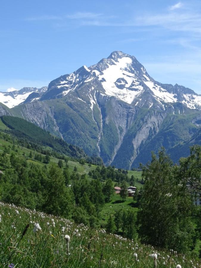 L'Ansloboys Montagne A2 Apartment Les Deux Alpes Exterior foto